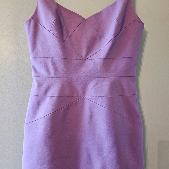 Robert Rodriguez Cocktail Sleeveless Classy Mini Dress Lilac Size 8. - Picture 3 of 16